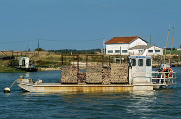 Bateau, ostréiculteur, Port ostréicole, Eguille sur Seudre, 17, Charente Maritime
