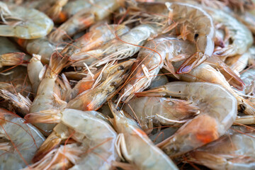 frozen tropical shrimp on head at the seafood market 