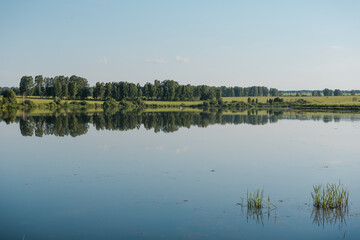 Obraz premium Lake in the forest. A beautiful reservoir. Wild nature. Sunny weather. The surface of the lake