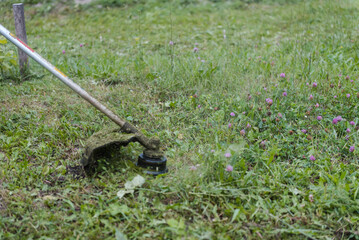 Cut the grass with a trimmer. Cut off the grass. Cut the lawn. Male labor. Outdoor work. Cut the grass with the device