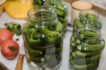 Cucumbers in a jar. Pickle cucumbers. Dill with garlic in a jar. Preparation for the winter. Canned vegetables. Autumnal vegetable.