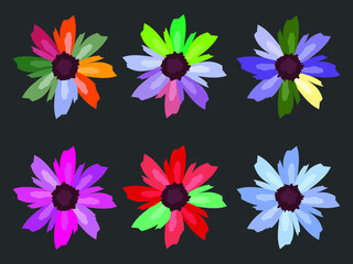 set of colorful flowers on black background