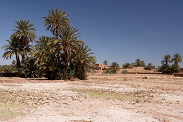 Wioska marokańska na skraju Sahary - obrazy, fototapety, plakaty