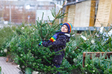 Adorable little smiling kid boy holding Christmas tree on market. Happy healthy child in winter fashion clothes choosing and buying big Xmas tree in outdoor shop. Family, tradition, celebration.