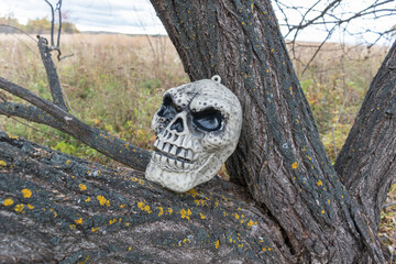 Monkey skull on dry tree. Decorative object horror.