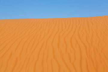 オマーンの砂漠
