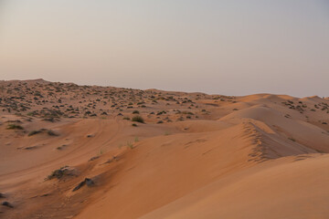 Fototapeta na wymiar 夕方のオマーンの砂漠 