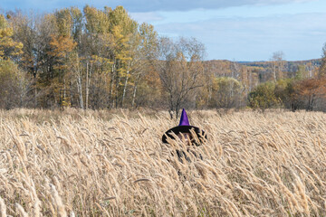 Girl in a witch costume is celebrating halloween.