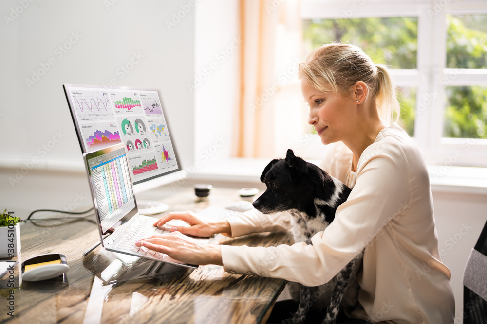 Poster kpi data report on laptop computer. woman working