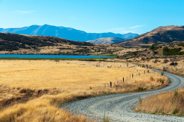 Gravel off road among dry yellow grass field, Lake Sarah, mountains on the horizon in Canterbury...