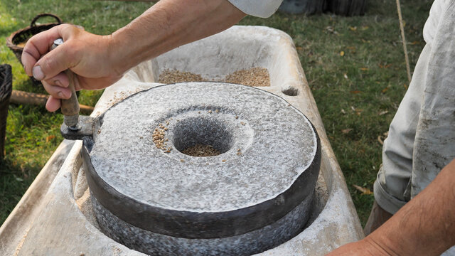 Man is preparing rye into grinding for wholemeal flour at quern.