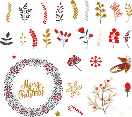 Christmas set of plants with flowers, fir branches, leaves and berries. Christmas trees. Handmade modern brush lettering. Handmade design elements in traditional colors. 