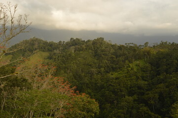 Obraz premium Hiking to Ciudad Perdida (The Lost City) in Colombias jungle and mountains of Sierre Nevada de Santa Marta 