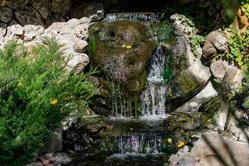 A small artificial freshwater waterfall that flows into a common Living pond. Plot structure with green moss and vegetation. Beautiful design of natural elements and details.