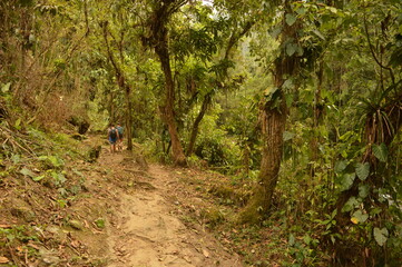 Hiking to Ciudad Perdida (The Lost City) in Colombias jungle and mountains of Sierre Nevada de Santa Marta 