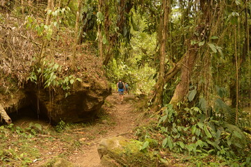 Naklejka na ściany i meble Hiking to Ciudad Perdida (The Lost City) in Colombias jungle and mountains of Sierre Nevada de Santa Marta 