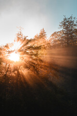 Beautiful peaceful and calm sunrise morning with strong fog. Sun light rays coming trough the trees silhouettes in the forest mountains. coloful nature morning scene, Austria, Alps in Europe