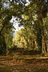 Hiking to Ciudad Perdida (The Lost City) in the jungle and mountains of Colombias Sierra Nevada de Santa Marta
