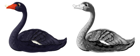 cartoon happy scene with sketch swan bird animal - illustration © agaes8080