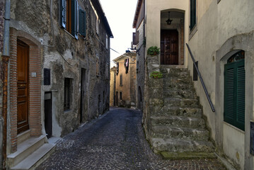 Fototapeta na wymiar A narrow street between the old houses of the town of Vico nel Lazio, in the province of Frosinone.