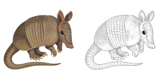 cartoon sketch scene with armadillo on white background - illustration © agaes8080