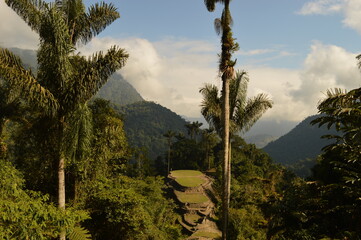 Fototapeta premium Hiking to Ciudad Perdida (The Lost City) in the jungle and mountains of Colombias Sierra Nevada de Santa Marta