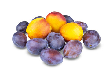 Several plums and nectarines. Isolated on white.