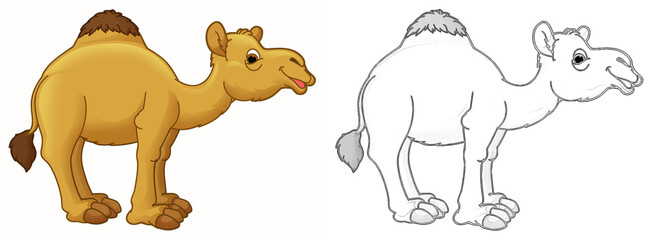 Cartoon animal camel dromedary with sketch - illustration