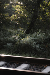 Fototapeta premium Details