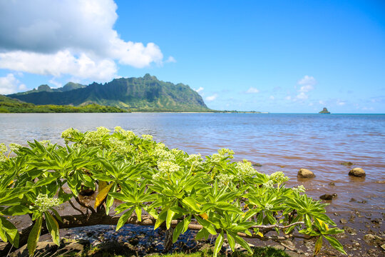 Kualoa coean view from Waiahole Beach Park, oahu, hawaii