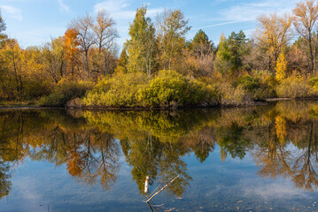A beautiful autumn landscape - the shore of a forest lake, overgrown with trees with autumn golden leaves and a blue sky that are reflected in clear water