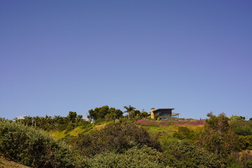 Fototapeta na wymiar マリブの丘の上の風景