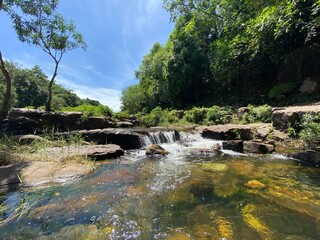 waterfall in the forest