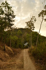 Obraz premium The Colombian rainforest and mountain landscapes of the Sierra Nevada de Santa Maria region