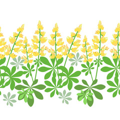 Lupine flowers seamless pattern