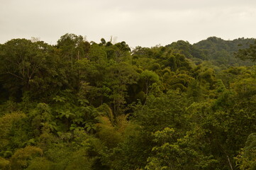 The Colombian rainforest and mountain landscapes of the Sierra Nevada de Santa Maria region