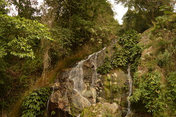 The Colombian rainforest and mountain landscapes of the Sierra Nevada de Santa Maria region