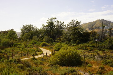 Fototapeta na wymiar サンタモニカの州立公園