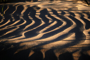Sand ripples on the beach with dark contrast
