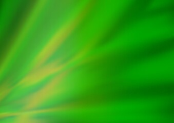 Light Green vector blurred bright template.
