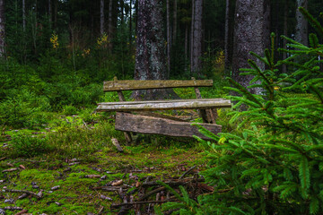 Fototapeta na wymiar Sitzbank aus Holz im Wald