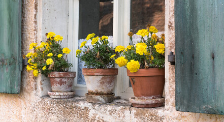 Fototapeta na wymiar Alte Blumentöpfe im Herbst mit Geranien auf dem Fenstersims