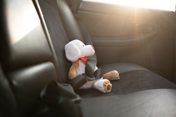 small teddy bear protected with safety belt in car, vehicle accident security