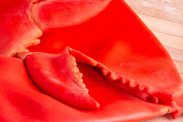 Close up latex red lobster claws as fun ocean texture background
