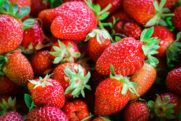 Strawberry background. A lot of fresh berries of a strawberry.