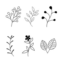 Set of Plants 