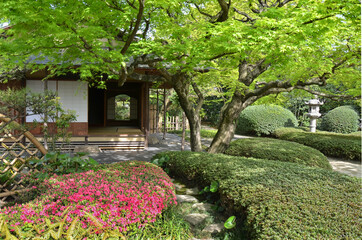 Shofuen garden and tea room, Fukuoka city, Japan. Site of Shofuso, the residence of renowned Fukuoka Tamaya department store founder and Kyushu pottery collector Zenpachi Tanakamaru.