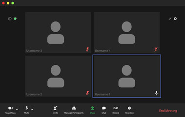 Video conference user interface, video conference calls window overlay.