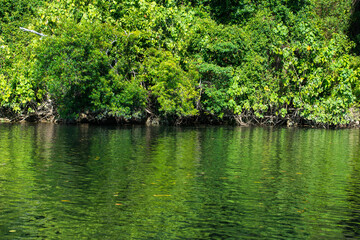 デインツリーの川