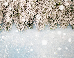 Winter fir garland and snow, Christmas background